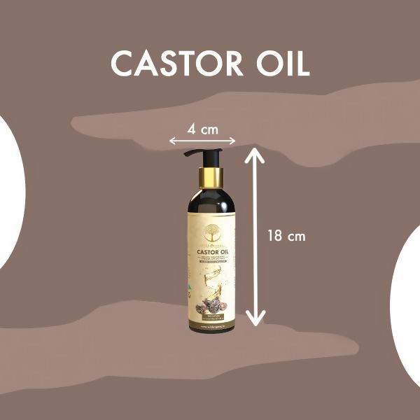 download - 2024-10-24T173252.349