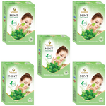 Thumbnail for Vedsun Naturals Mint Face Pack - Distacart