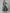 AURELIA Green Ethnic Motifs Cotton Maxi Dress