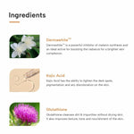 Thumbnail for Dermatouch Kojic Acid 1% Soap With Glutathione - Distacart