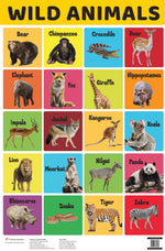 Thumbnail for Wild Animals : Charts - Om Books - Distacart