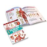 Thumbnail for Dreamland Publications Explore Encyclopedia Books Pack - A Set of 8 Books