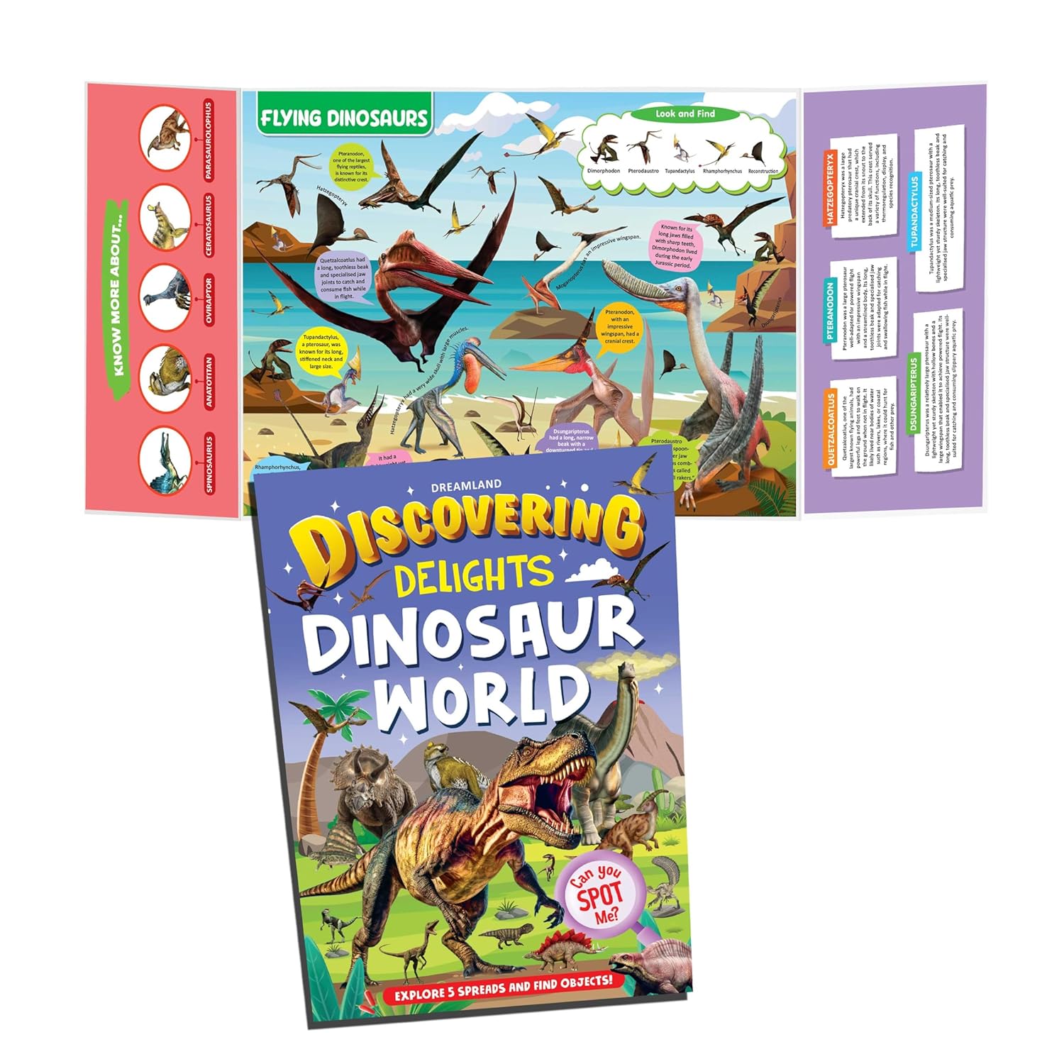 Dreamland Publications Discovering Delights Activity Book Pack for Kids Age 4 -10 years - A Set of 4 Books