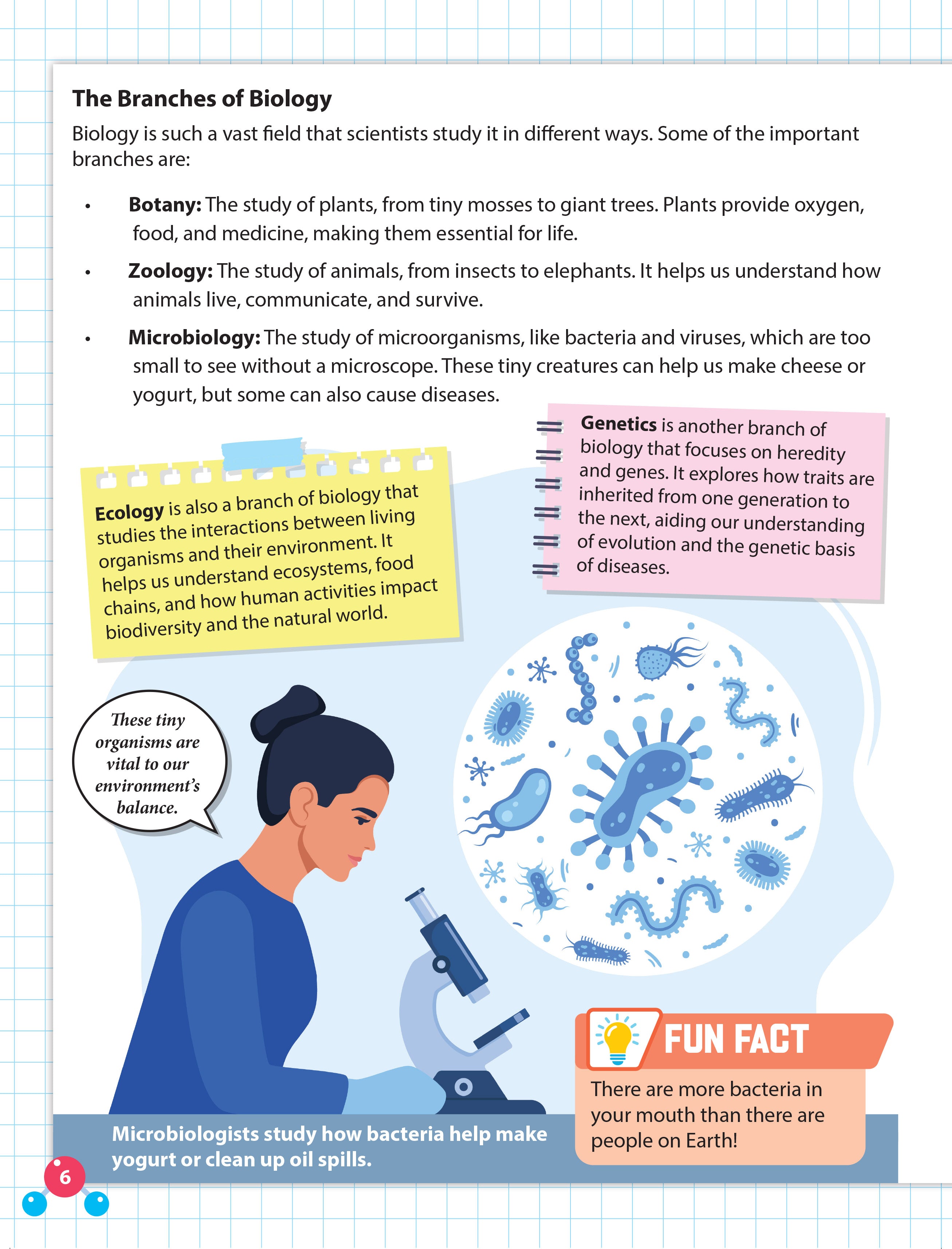 Dreamland Publications Everyday Wonders: Biology for Kids Age 6+ – Fun Facts and Exciting Activities About Living Things