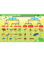 Thumbnail for Dreamland Publications Everyday Wonders: Biology for Kids Age 6+ – Fun Facts and Exciting Activities About Living Things