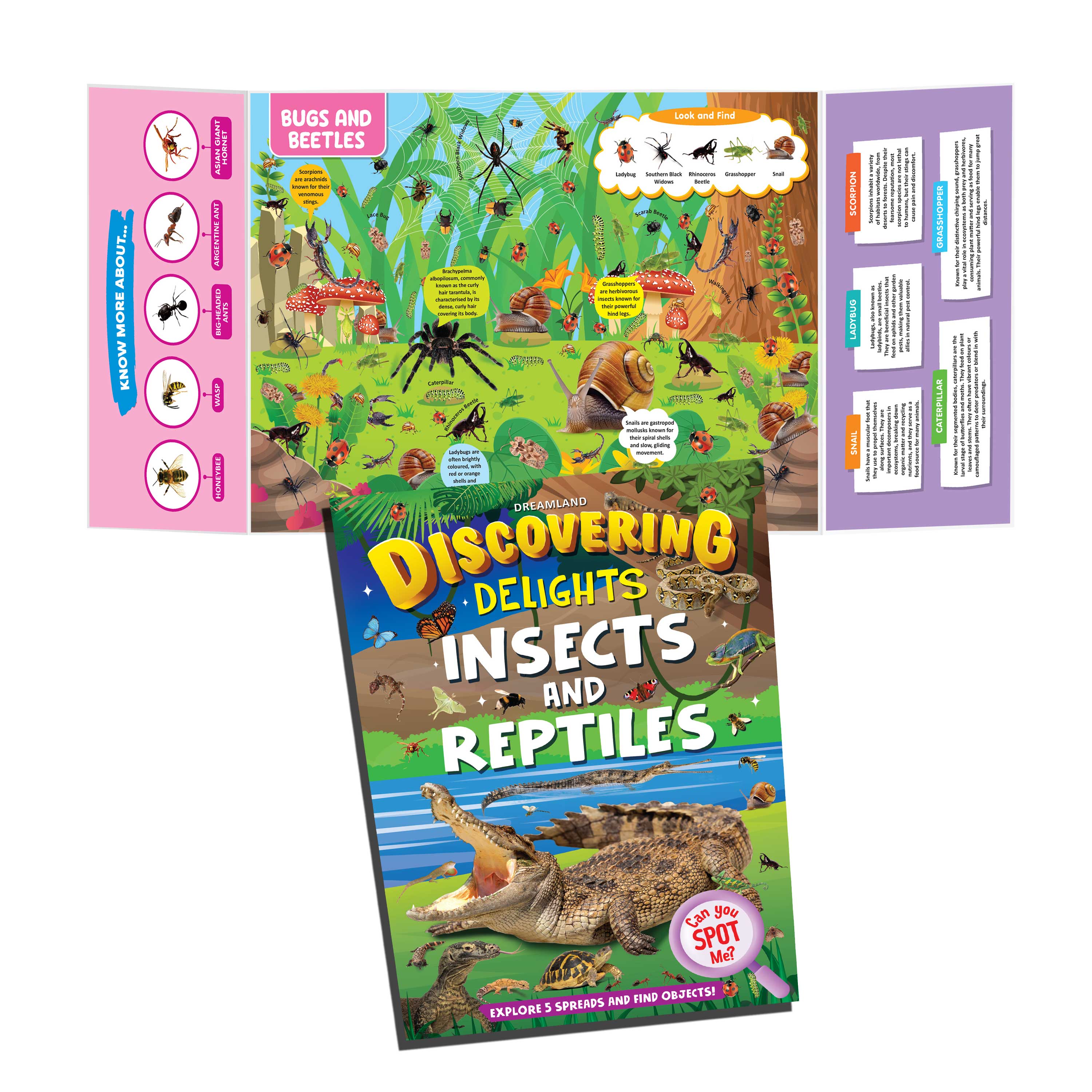 Dreamland Publications Insects and Reptiles Discovering Delights Flap Book for Kids Age 4 - 10 years