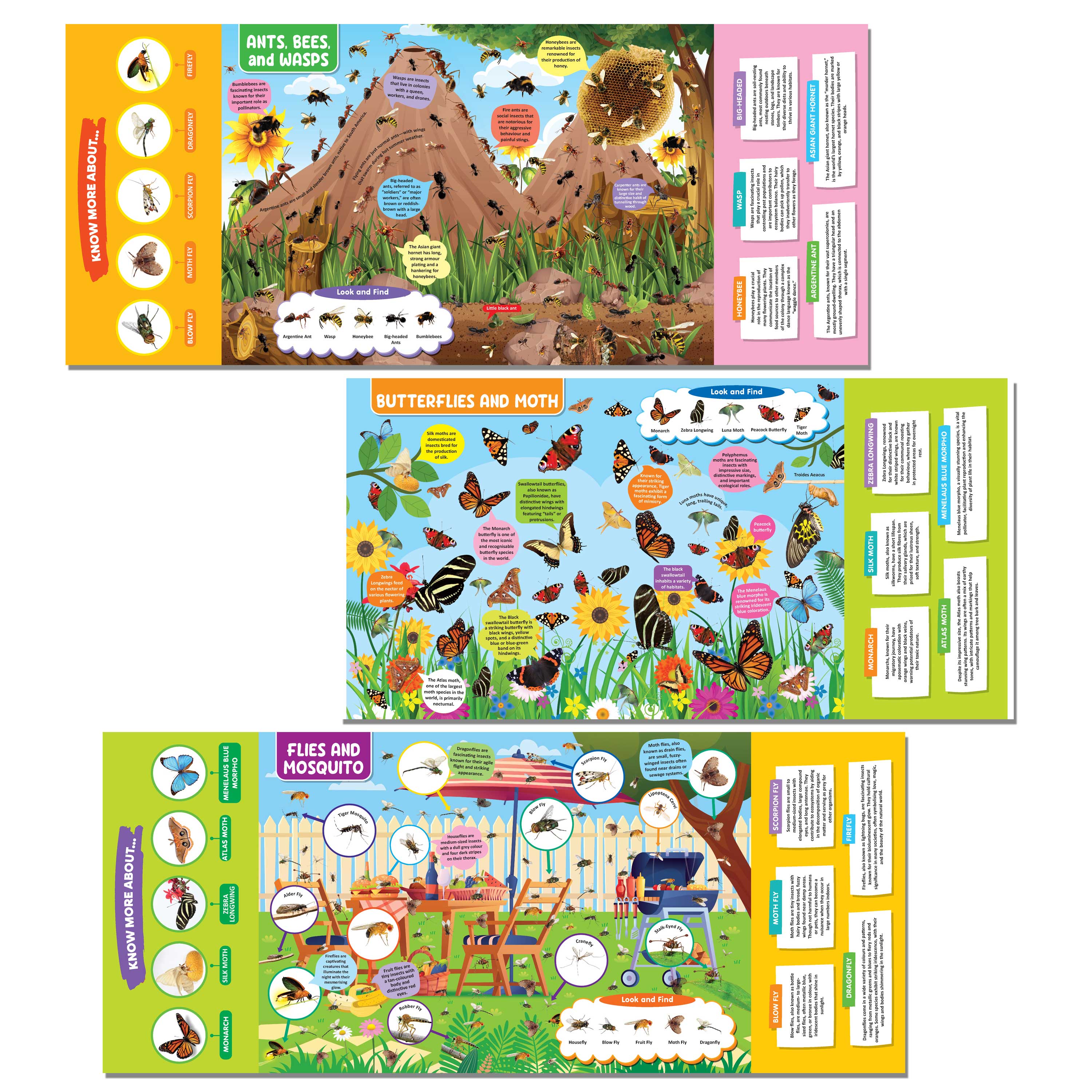 Dreamland Publications Insects and Reptiles Discovering Delights Flap Book for Kids Age 4 - 10 years