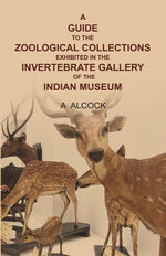 Thumbnail for A guide to the Zoological collections exhibited in the Invertebrate gallery of the Indian Museum - Gyan Books - Distacart