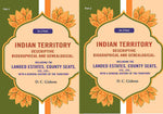 Thumbnail for Indian Territory Descriptive Biographical And Genealogical: Including The Landed Estates, County Seats, - Gyan Books - Distacart