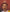 Munshi Premchand (Hindi) : Large Print - Om Books - Distacart