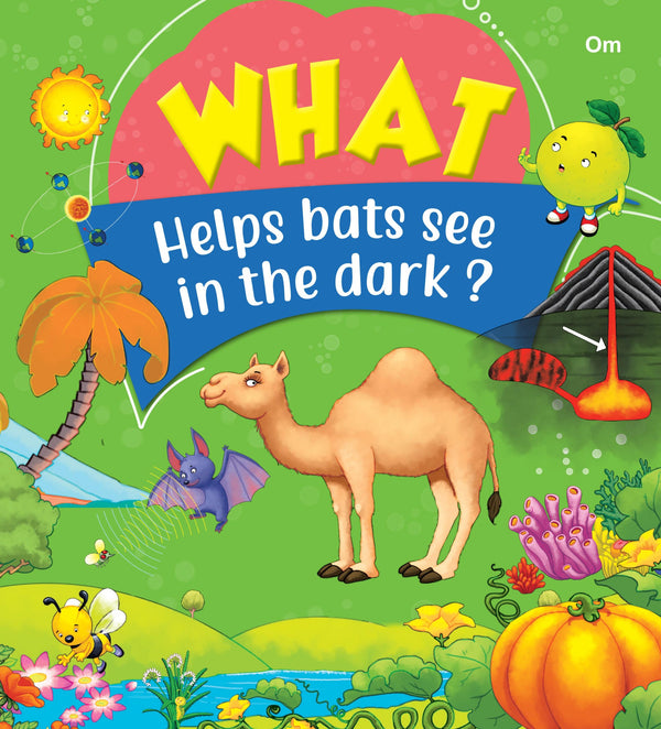 What Helps Bats See In The Dark - Om Books - Distacart