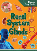 Thumbnail for Renal System & Glands : Human Body Facts - Om Books - Distacart