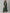 AURELIA Green & Pink Ethnic Motifs Pure Cotton Maxi Ethnic Dress