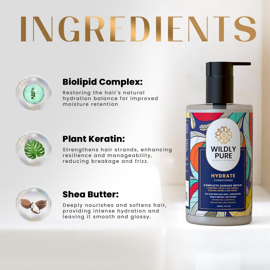 download - 2024-11-19T172948.456