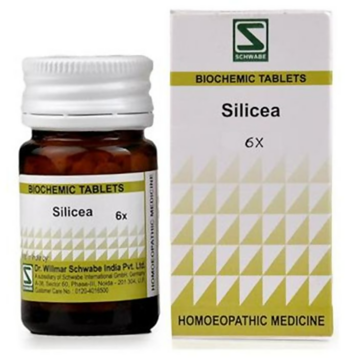 Dr. Willmar Schwabe India Silicea Biochemic Tablets - Distacart