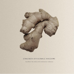 Thumbnail for download - 2024-10-05T185242.935