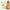 Astaberry Ayurvedic Onion Hair Oil - Distacart