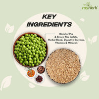 Thumbnail for Myherb Plant Protein Powder, Pea And Brown Rice Protein Powder - Chocolate Flavour
