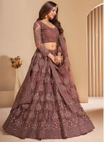 Thumbnail for Vegaa Fashion Brown Net Embroidery Designer Lehenga Choli