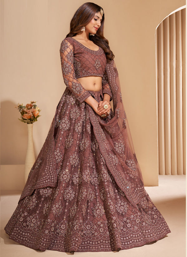 Vegaa Fashion Brown Net Embroidery Designer Lehenga Choli