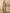 Janasya Regular Biscuit Slub Beige Gemometric Square Neck Kurta,Bottom & Dupatta - Distacart