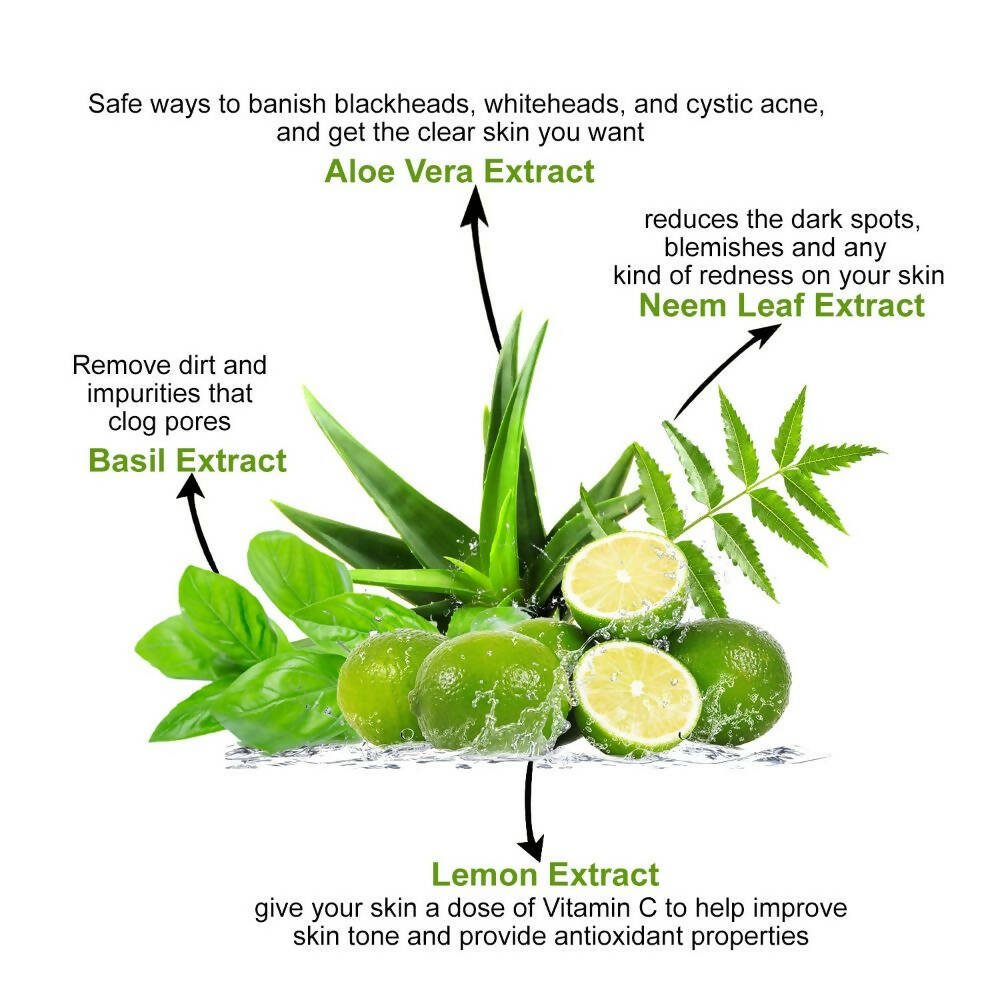 Astaberry Neem & Aloe Face Wash with Lemon & Basil Extracts - Distacart