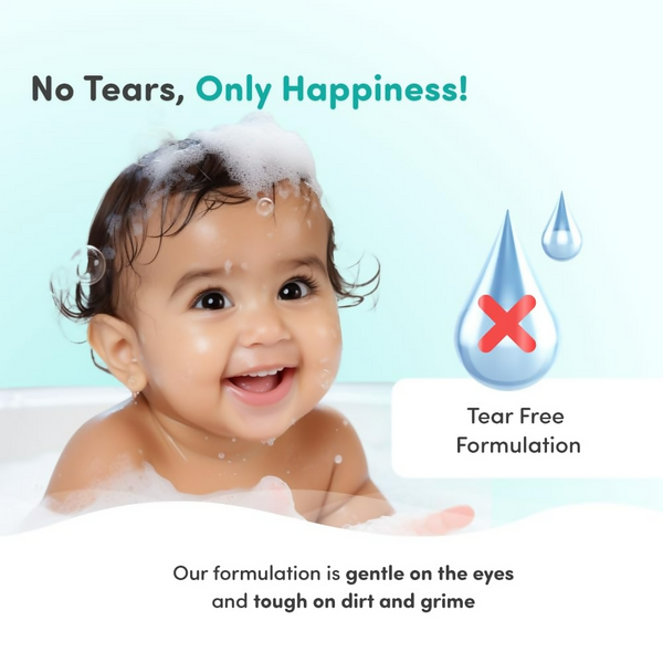 download - 2025-01-27T124821.453