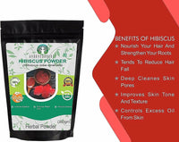 Thumbnail for Ayurvedashree Hibiscus Flower Powder - Distacart