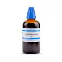 Thumbnail for SBL Homeopathy Fucus Vesiculosus Mother Tincture Q - Distacart