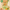 Alps Goodness Sandalwood,Multani Mitti,Neem & Turmeric Powder - Distacart