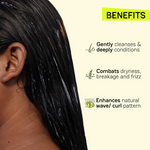 Thumbnail for download - 2024-09-27T184214.905