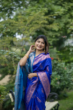 Thumbnail for Vishnu Weaves Women's Royal Banarasi Silk Saree with Blouse - Distacart