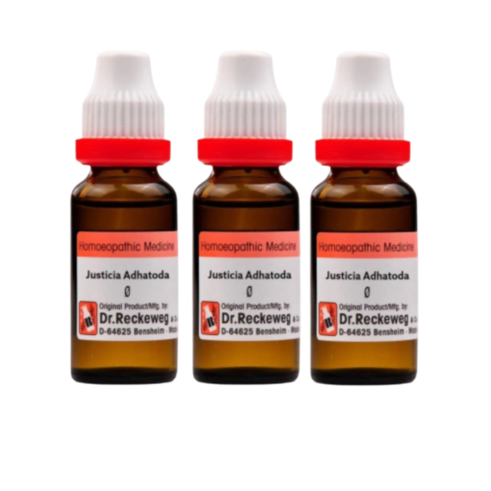 Bakson's Spondy Aid Drops - Distacart