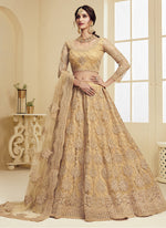 Thumbnail for Vegaa Fashion Beige Net Embroidered Wedding Lehenga