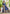 Sangam Prints Navy Blue Assam Silk Woven Work Traditional Saree