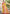 Sangam Prints Multi Color Kanjivaram Silk Woven Work Traditional Saree