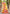 Sangam Prints Multi Color Kanjivaram Silk Woven Work Traditional Saree