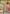 Sangam Prints Multi Color Kanjivaram Silk Woven Work Traditional Saree