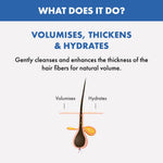 Thumbnail for BSE3M77bvE