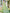 Sangam Prints Olive Green Linen Woven Work Traditional Saree