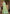 Sangam Prints Olive Green Linen Woven Work Traditional Saree