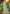 Sangam Prints Sea Green Heavy Assam Silk Saree With Meena Woven Work Traditional Saree