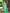 Sangam Prints Sea Green Kanjivaram Silk Woven Work Traditional Saree