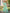 Sangam Prints Mint Green Linen Woven Work Traditional Saree
