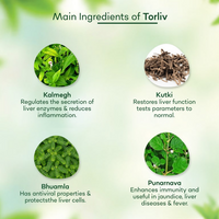 Thumbnail for Torque's Torliv Ayurvedic Syrup