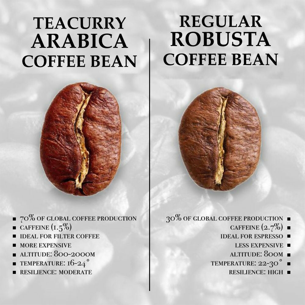 Teacurry Arabica Roasted Coffee Bean (Whole Bean, Medium Roasted) - Distacart