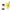 Allin Exporters Bergamot Essential Oil - Distacart