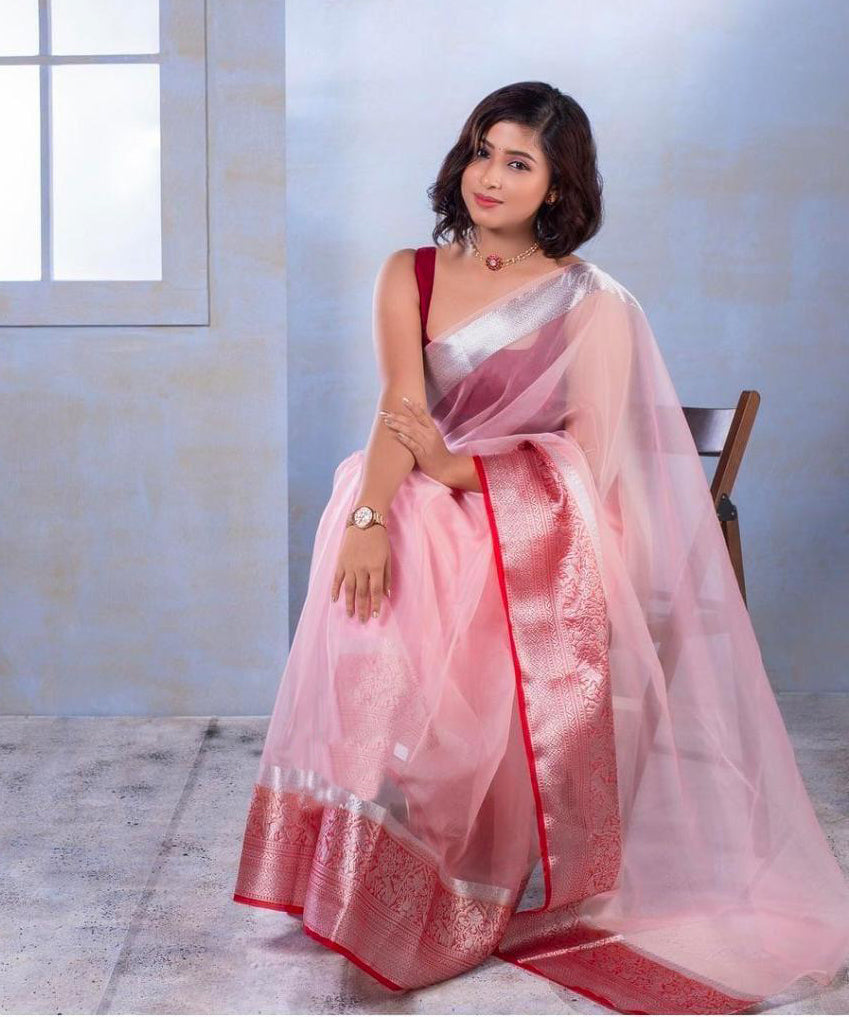 NOZ2TOZ Women Red Nylon Organza Zari Weaving Saree
