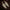 flower_230