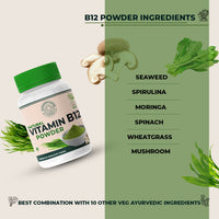 Thumbnail for B12-100-GM-6